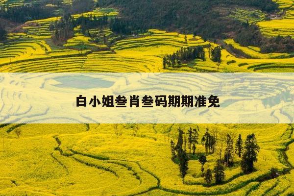 包含白小姐叁肖叁码期期准免的词条