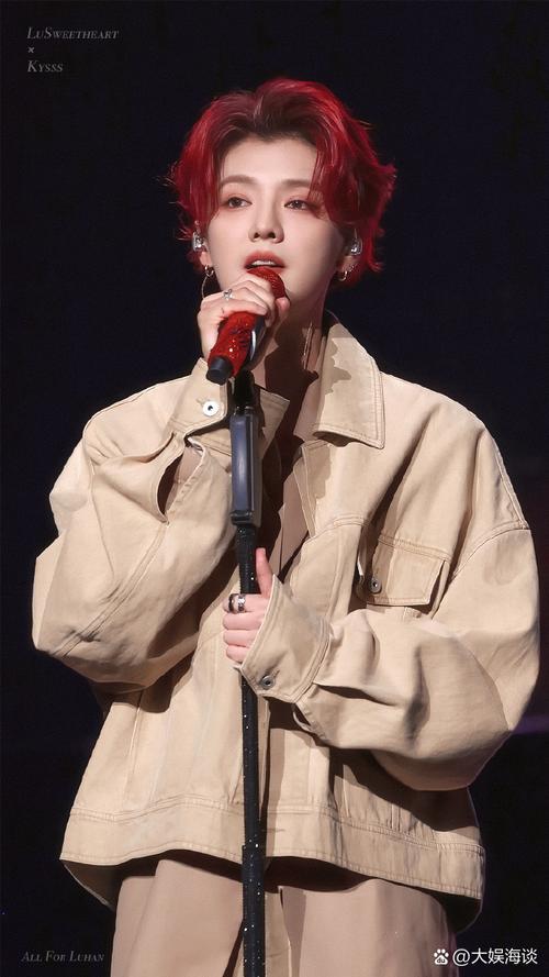 鹿晗演唱会审批通过,鹿晗演唱会安排