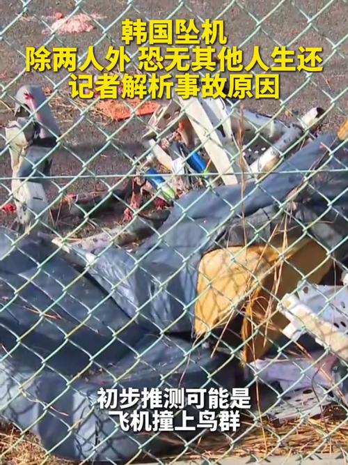 2025年5月30日 第7页