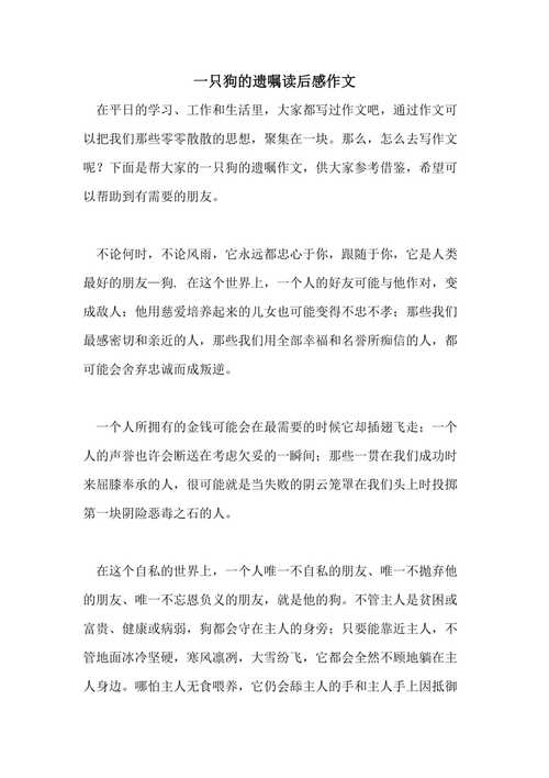 女子为4只狗立遗嘱,女子为4只狗立遗嘱视频