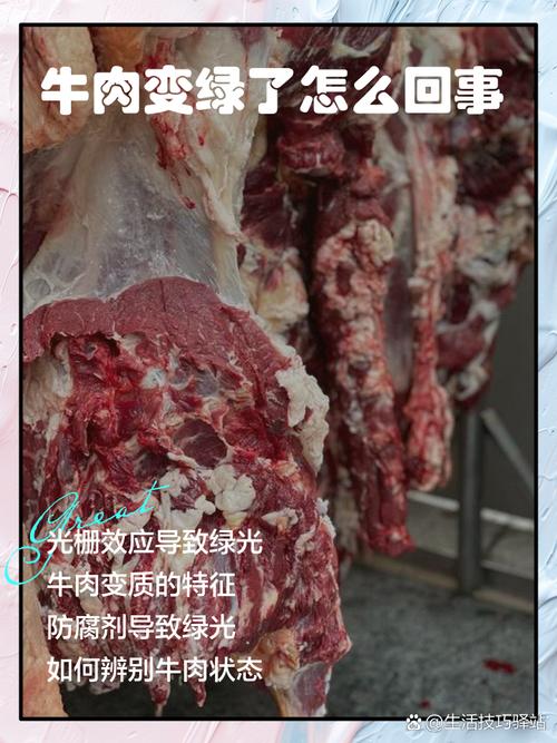 牛肉馅大肠杆菌污染,牛肉馅大肠杆菌污染大吗