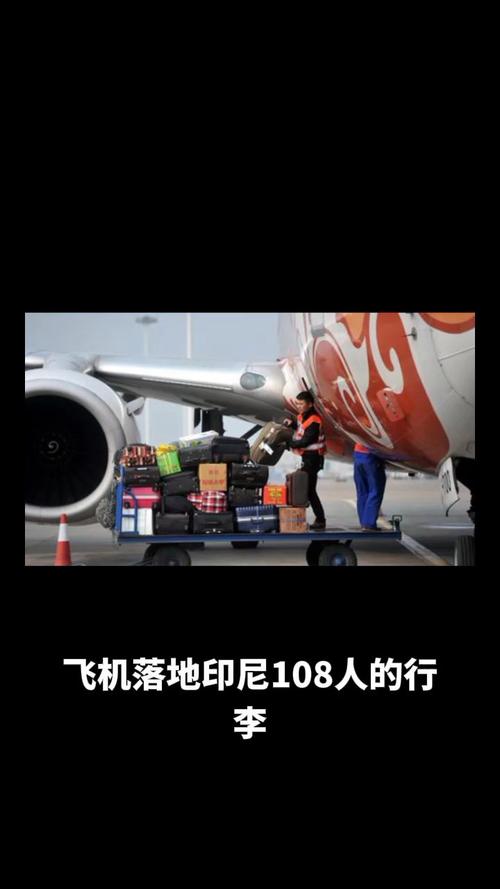印失事客机乘客国籍,印尼失事客机视频